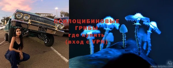 трава Абаза
