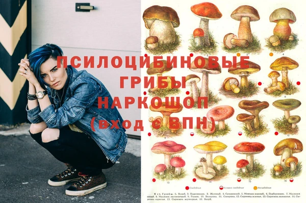 ECSTASY Алзамай