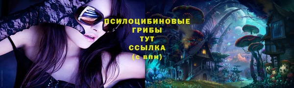 трава Абаза