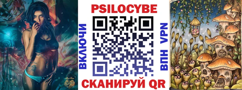 Псилоцибиновые грибы Cubensis  Пудож 